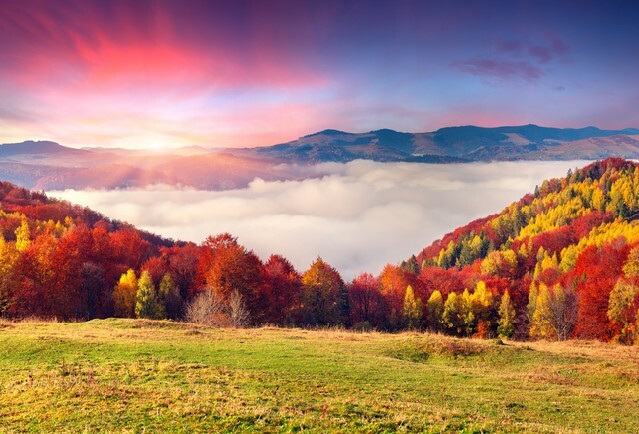 Colorful autumn morning in the Carpathian mountains - Sokilsky ridge, Ukraine